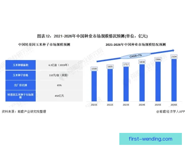 今日法甲焦点对决走势深度解析与热门球队胜负预测前瞻全面观察